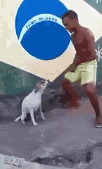brazil_meme.gif